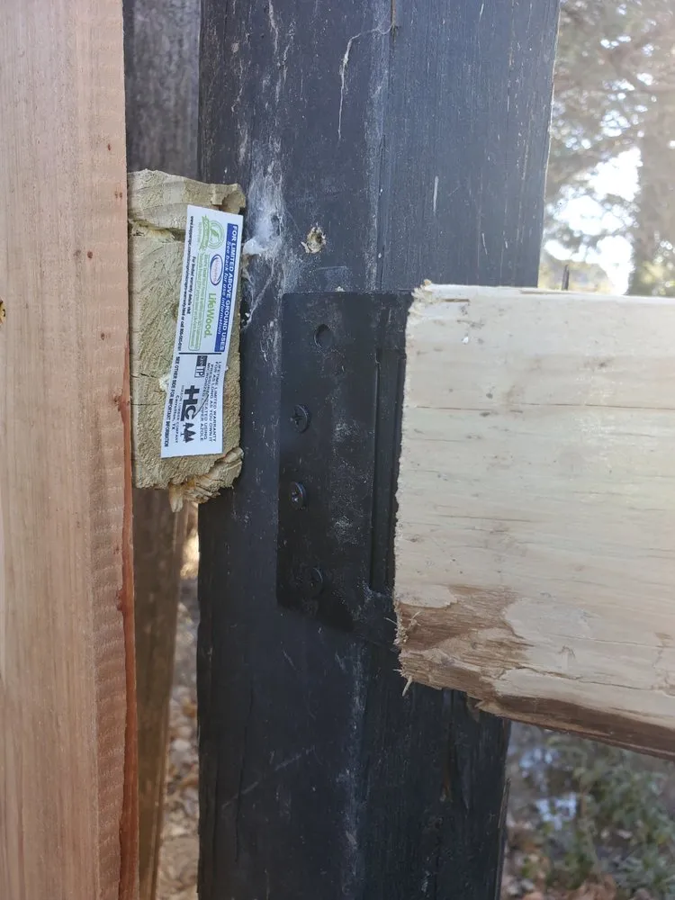 Local lawn care service for residential properties across Dallas, TX - Mike Riley's Landscape