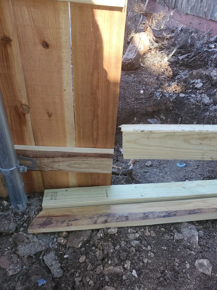 Reliable yard cleanup service experts serving Dallas, TX - Mike Riley's Landscape