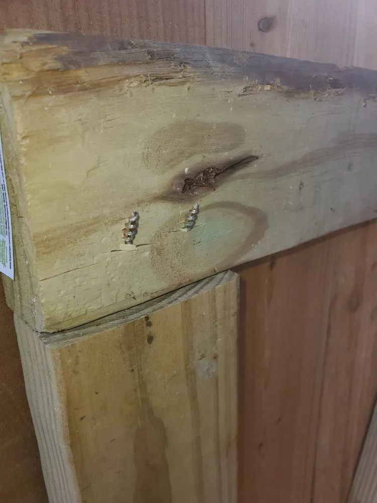 Affordable lawn care service for residential properties in Dallas, TX by Mike Riley's Landscape