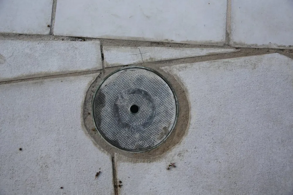 Local lawn care service in Dallas, TX by Mike Riley's Landscape