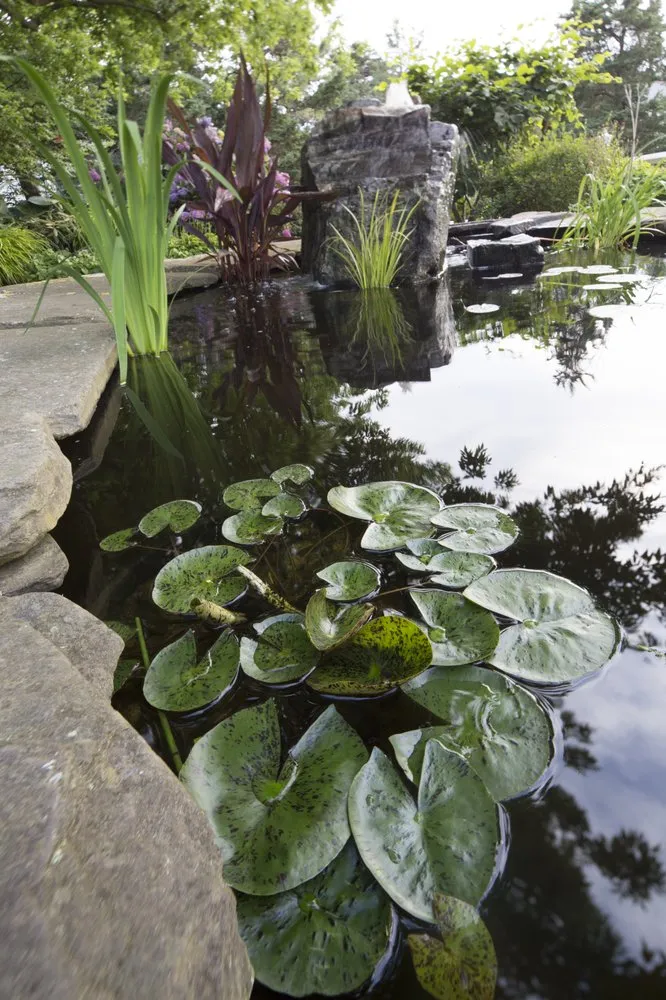 Local landscape design for homes in West Yarmouth, MA by Mike Stacy Landscaping