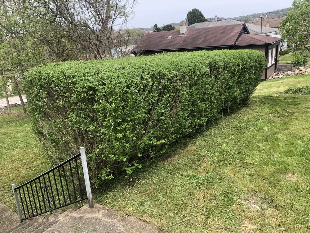 Affordable yard maintenance in Houston, PA - Mikec’s Lawncare