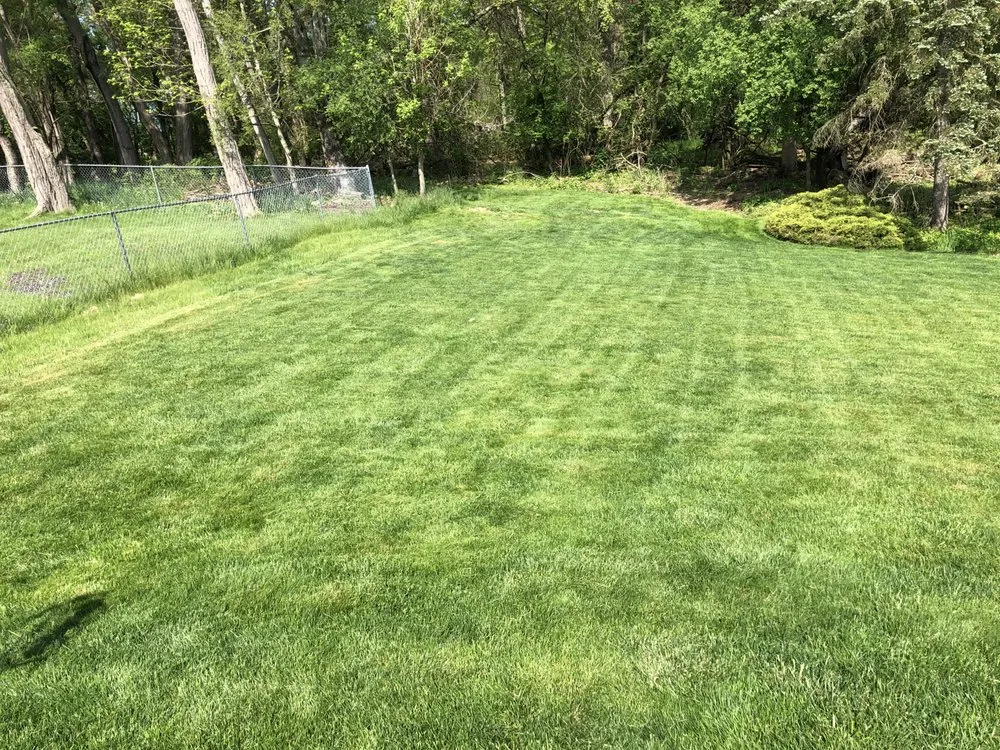 Top-rated garden landscaping for outdoor upgrades in Houston, PA by Mikec’s Lawncare