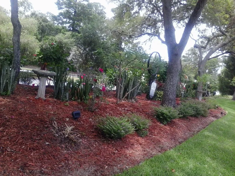 Affordable yard maintenance in Hudson, FL - MikeJr Handyman