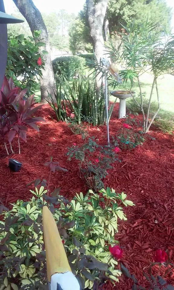 Reliable lawn mowing service in Hudson, FL by MikeJr Handyman