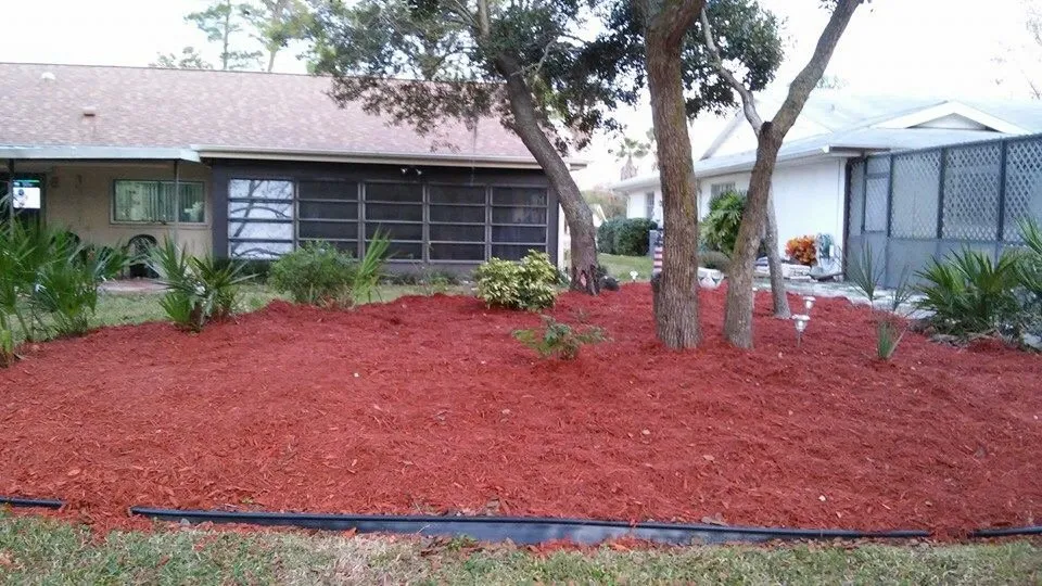 Local garden landscaping in Hudson, FL - MikeJr Handyman