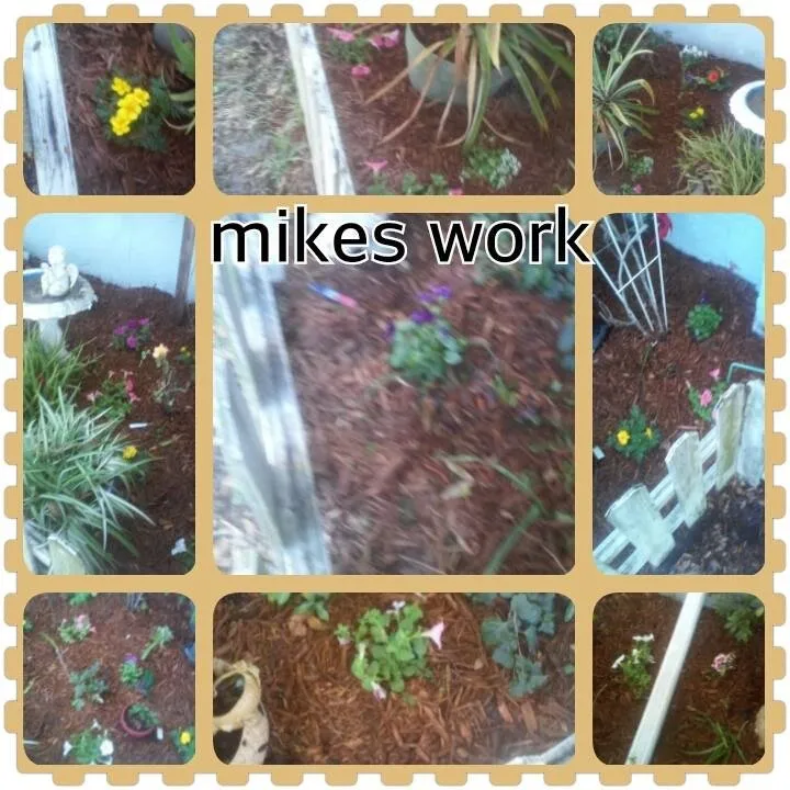 Local landscape design with custom design across Hudson, FL - MikeJr Handyman