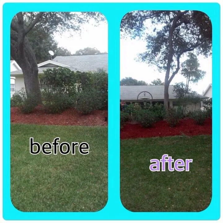 Trusted yard maintenance with custom design in Hudson, FL by MikeJr Handyman