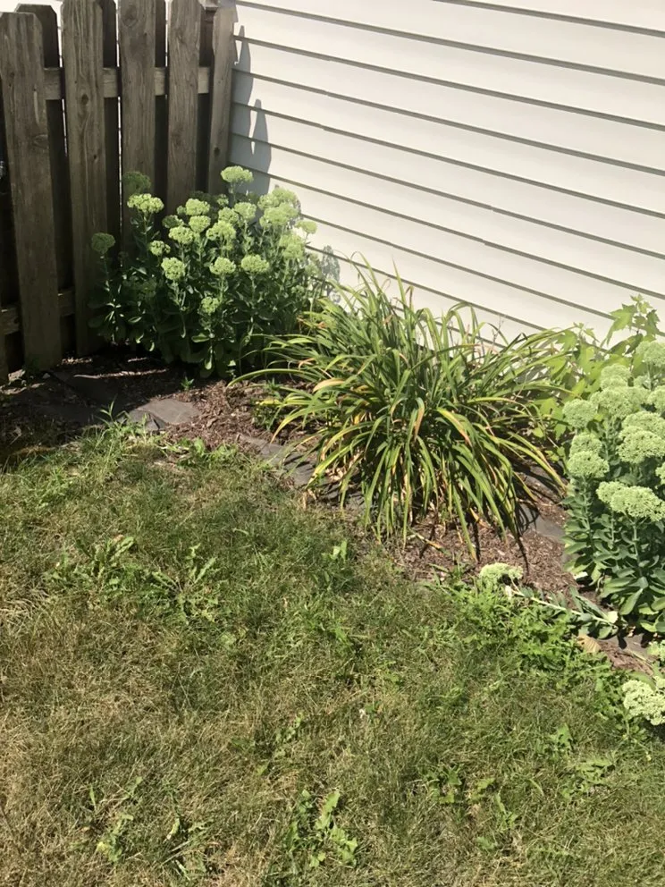 Local landscape installation in Somonauk, IL by Mikel Lawn & Snow