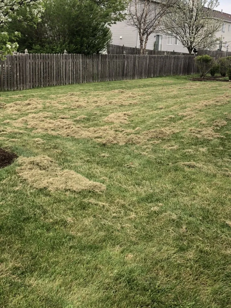 Expert yard maintenance in Somonauk, IL - Mikel Lawn & Snow