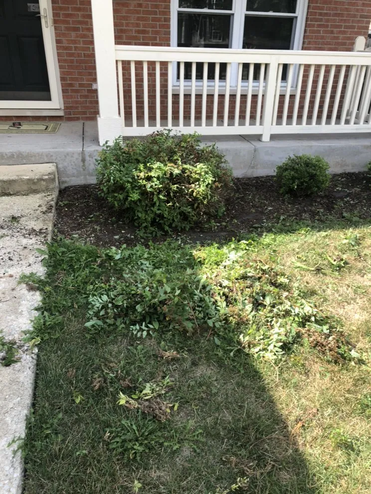 Top-rated landscaping services in Somonauk, IL by Mikel Lawn & Snow