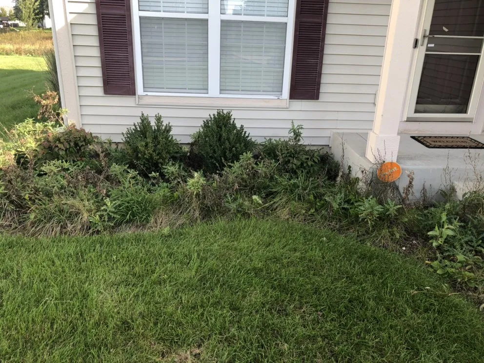 Local landscape design for homes in Somonauk, IL by Mikel Lawn & Snow