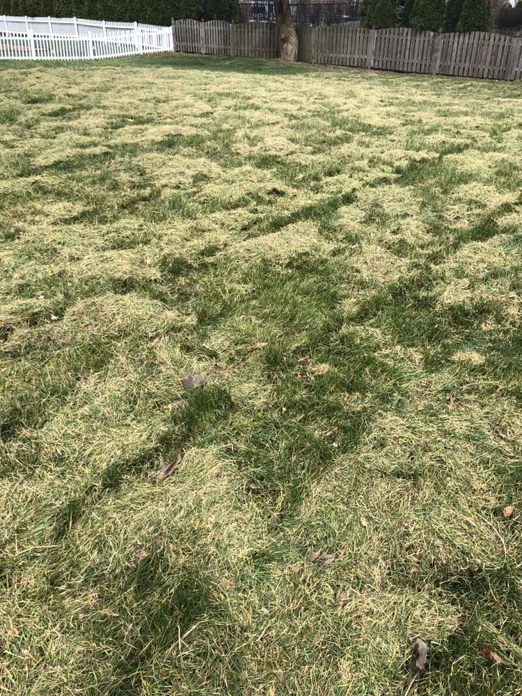 Top-rated landscape design in Somonauk, IL by Mikel Lawn & Snow