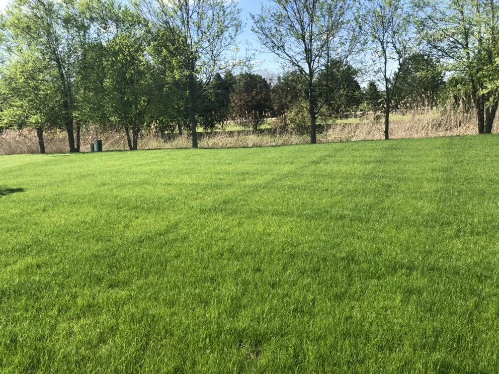 Trusted yard cleanup service with custom design in Somonauk, IL by Mikel Lawn & Snow