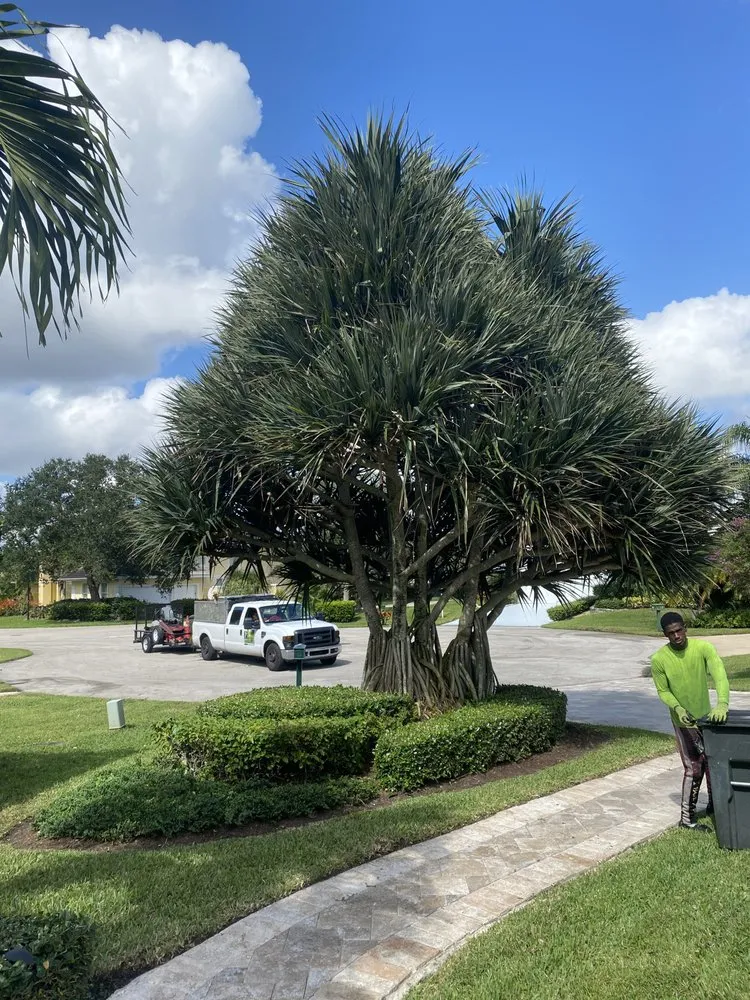 Professional residential landscaping in Boynton Beach, FL by Mikell Gardens Lawn Service, Landscape and Tree Service