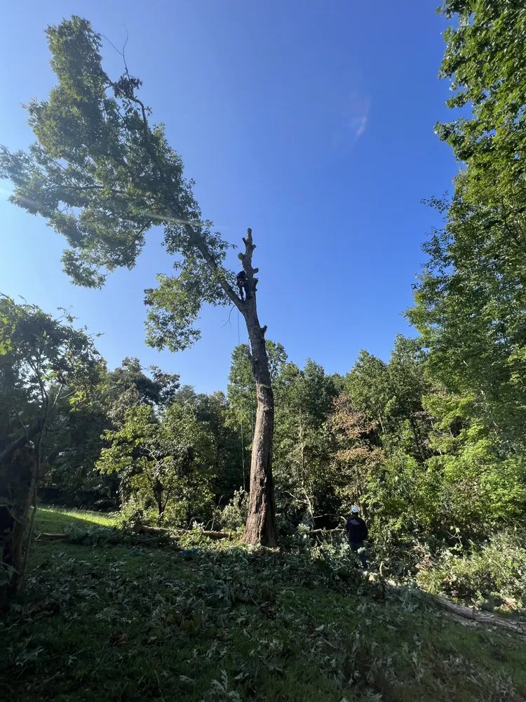 Custom lawn mowing service in Chatsworth, GA by Mike’s A1 services