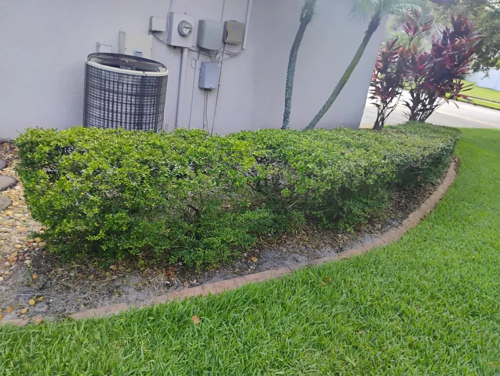 Top-rated landscape installation for residential properties in St. Petersburg, FL by Mike's All Around Lawn Care & Tree Work