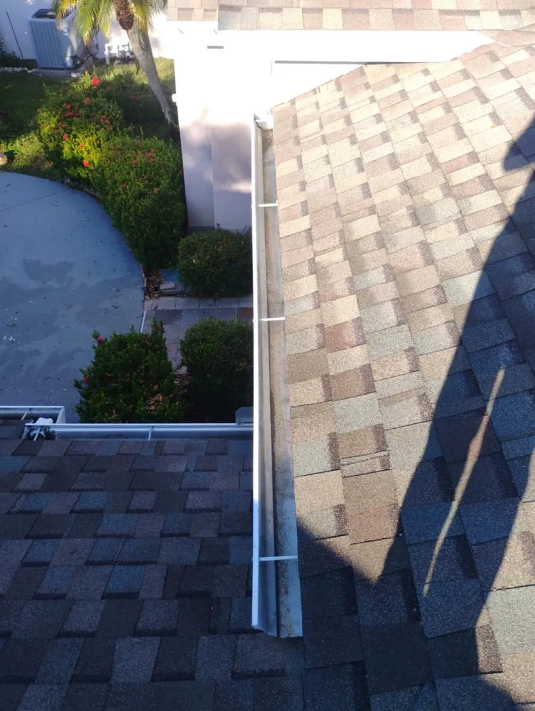 Top-rated outdoor landscaping in St. Petersburg, FL by Mike's All Around Lawn Care & Tree Work