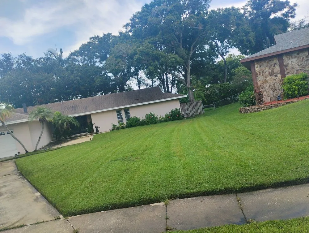 Expert lawn care service for homes across St. Petersburg, FL - Mike's All Around Lawn Care & Tree Work