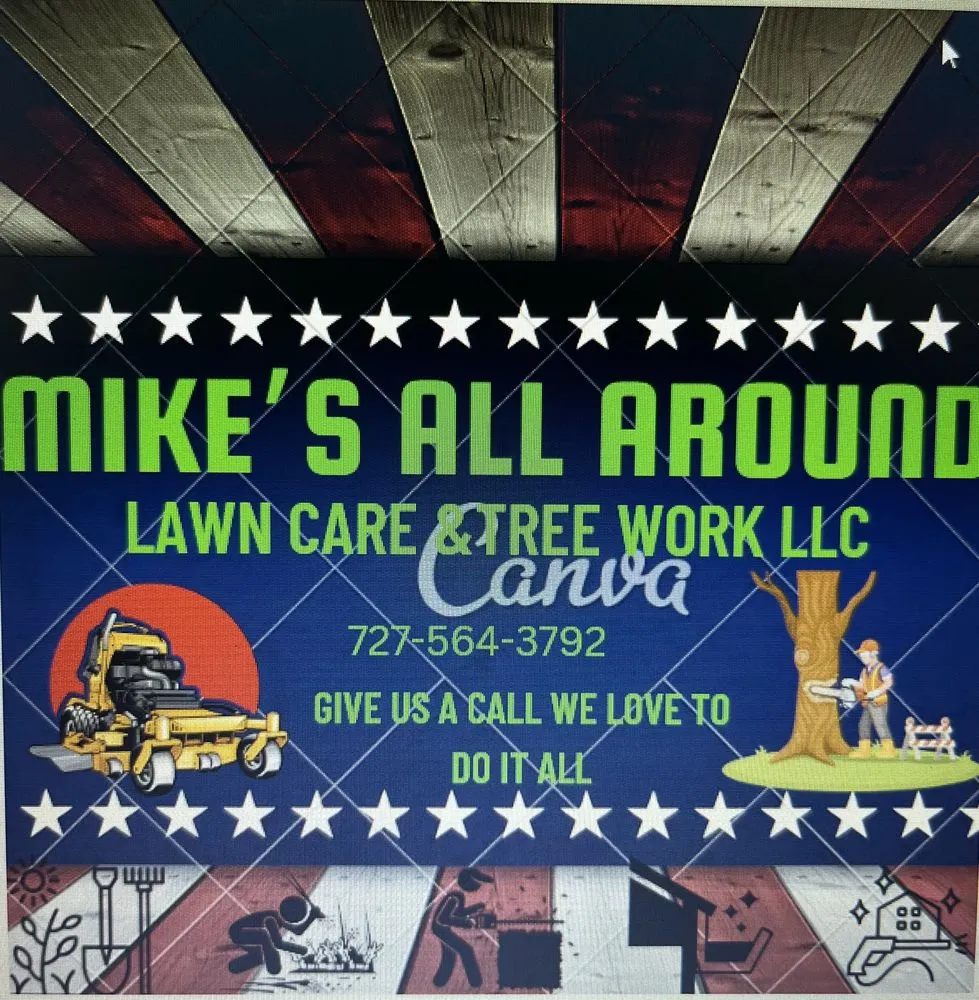 Local yard cleanup service experts serving St. Petersburg, FL - Mike's All Around Lawn Care & Tree Work