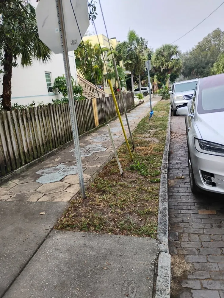 Top-rated lawn care service in St. Petersburg, FL - Mike's All Around Lawn Care & Tree Work