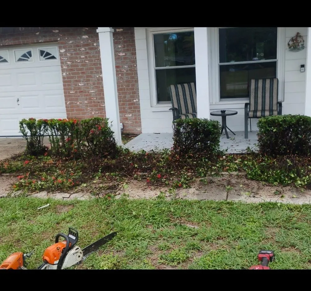 Affordable residential landscaping experts serving St. Petersburg, FL - Mike's All Around Lawn Care & Tree Work