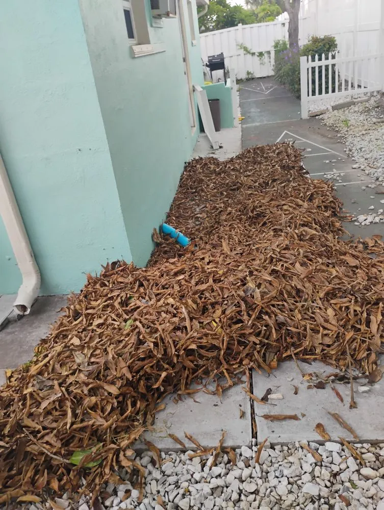 Expert landscape installation for outdoor upgrades across St. Petersburg, FL - Mike's All Around Lawn Care & Tree Work