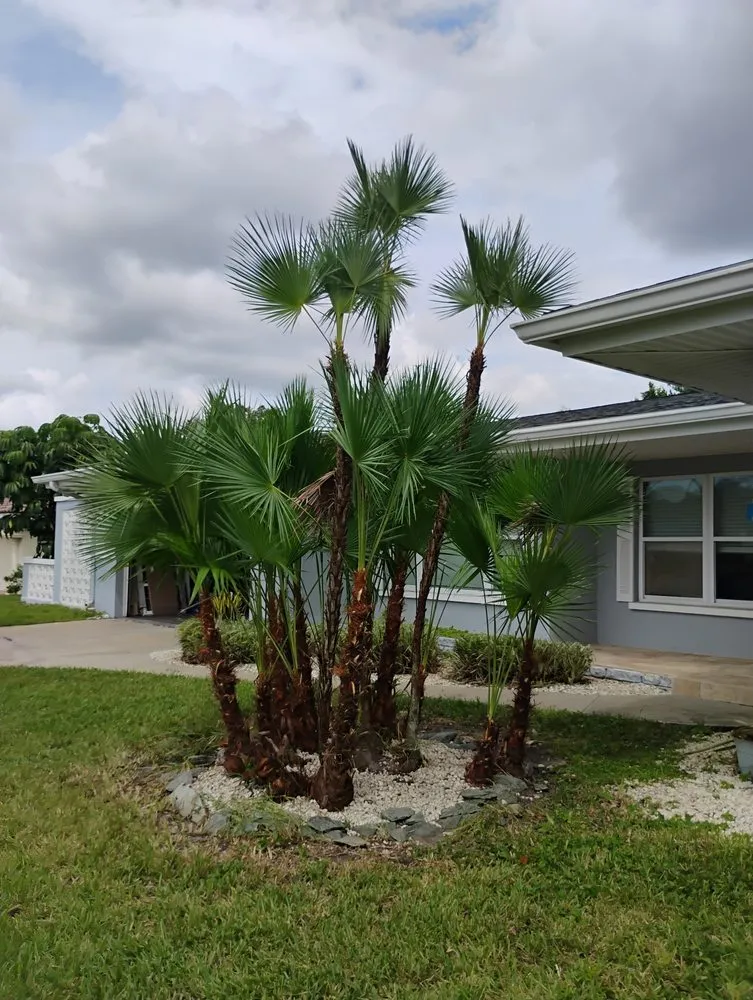 Professional landscape installation for homes across St. Petersburg, FL - Mike's All Around Lawn Care & Tree Work