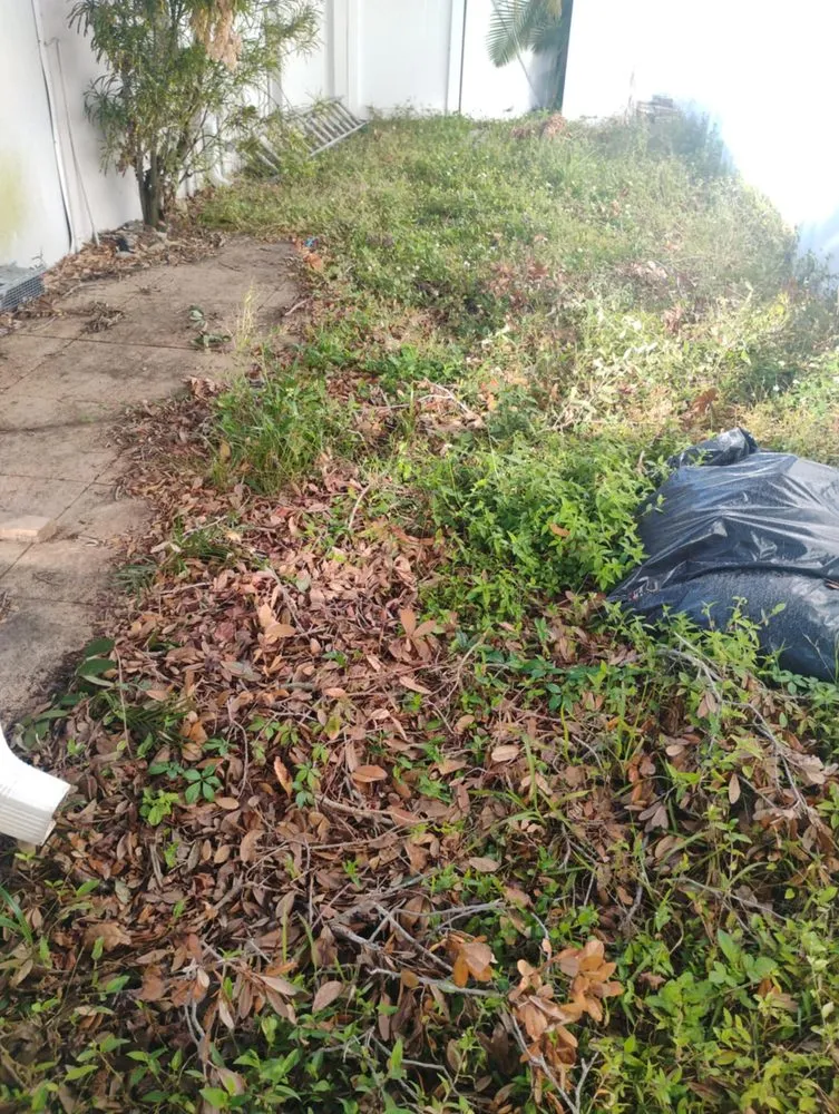 Top-rated residential landscaping experts serving St. Petersburg, FL - Mike's All Around Lawn Care & Tree Work