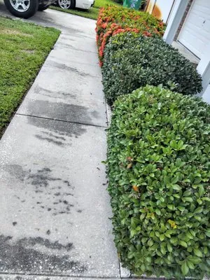 Mike's All Around Lawn Care & Tree Work Logo