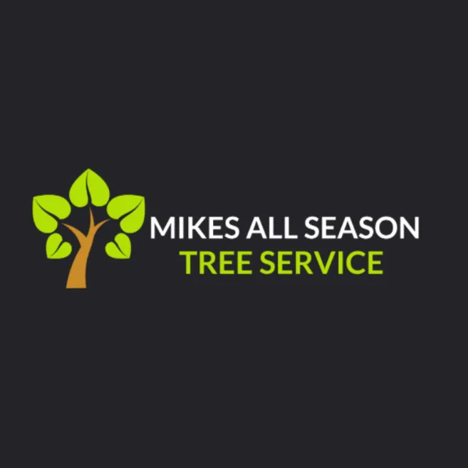 Top-rated yard cleanup service for residential properties in Sterling Heights, MI by Mike's All Season Tree Service