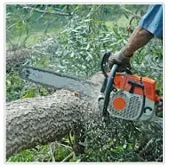 Trusted landscape installation in Sterling Heights, MI by Mike's All Season Tree Service