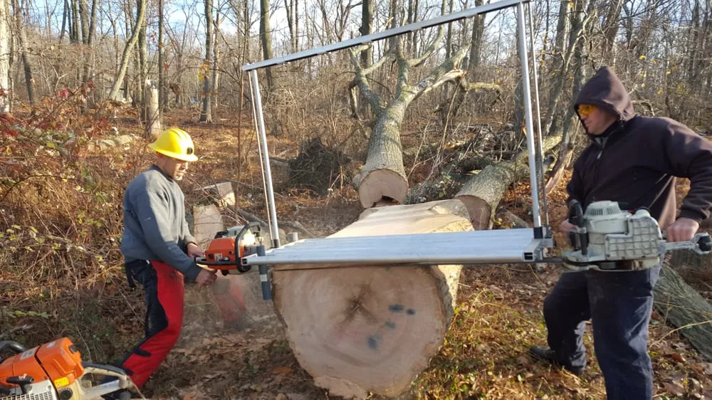 Custom residential landscaping experts serving Hillsborough Township, NJ - Mikes Arborist Enterprises