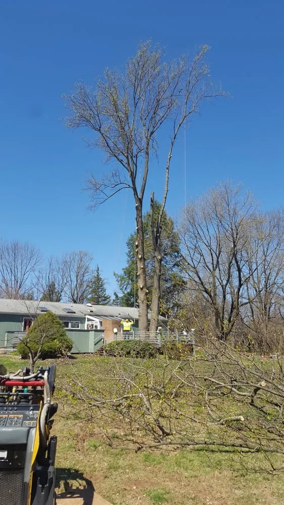 Professional lawn care service for homes in Hillsborough Township, NJ by Mikes Arborist Enterprises