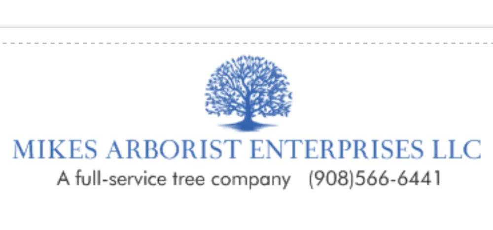 Professional outdoor landscaping in Hillsborough Township, NJ - Mikes Arborist Enterprises