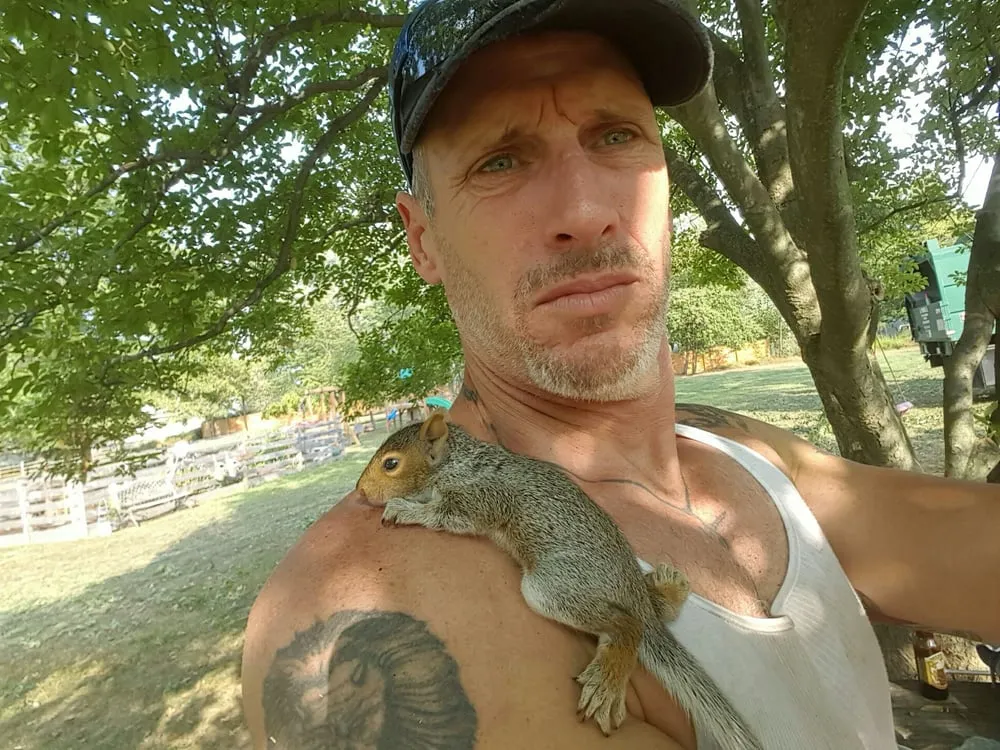 Expert lawn care service in Hillsborough Township, NJ - Mikes Arborist Enterprises