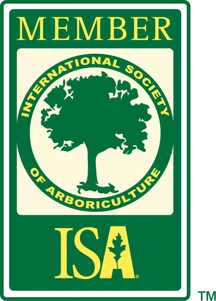 Local outdoor landscaping in Hillsborough Township, NJ by Mikes Arborist Enterprises