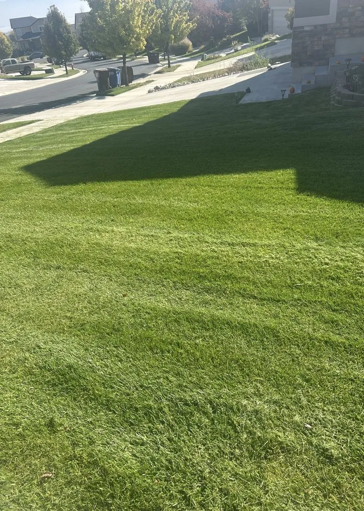 Top-rated yard maintenance experts serving Tooele, UT - Mikes Better Lawn Care and Snow Removal