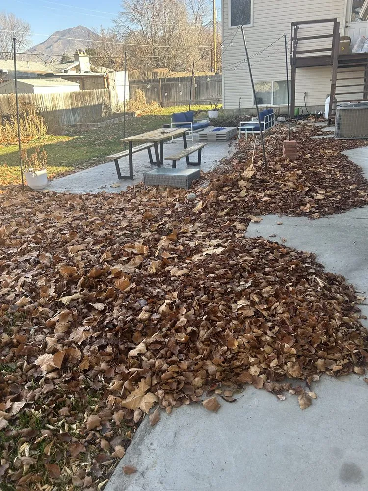 Affordable yard cleanup service for year-round maintenance across Tooele, UT - Mikes Better Lawn Care and Snow Removal