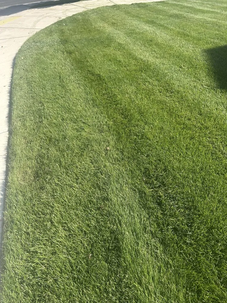 Expert outdoor landscaping experts serving Tooele, UT - Mikes Better Lawn Care and Snow Removal