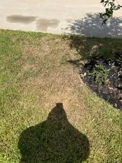 Affordable residential landscaping for beautiful yards across Richmond, TX - Mike's Complete Landscaping