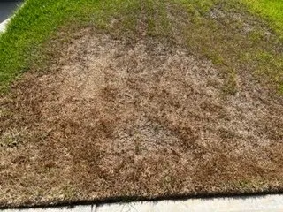 Top-rated landscape installation with custom design across Richmond, TX - Mike's Complete Landscaping