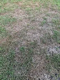 Professional lawn care service for homes in Richmond, TX by Mike's Complete Landscaping