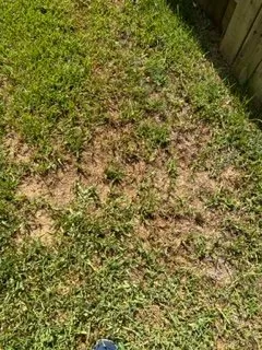 Trusted outdoor landscaping in Richmond, TX - Mike's Complete Landscaping