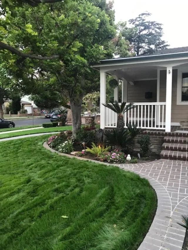 Top-rated yard cleanup service experts serving Burbank, CA - Mike's Custom Lawn Service
