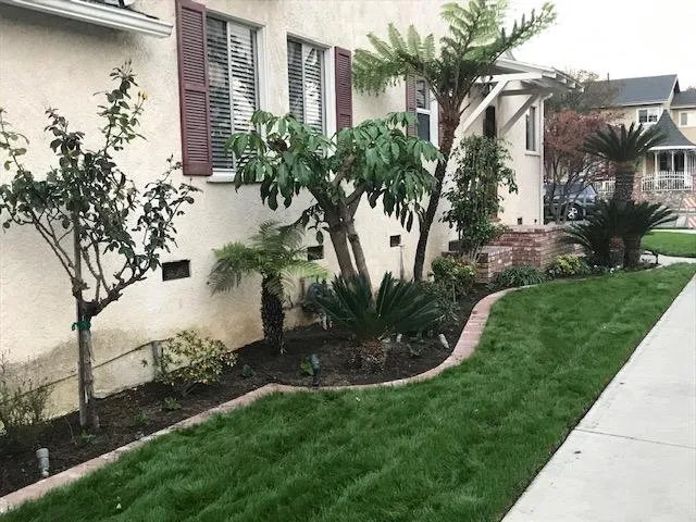 Local landscape design for residential properties in Burbank, CA by Mike's Custom Lawn Service