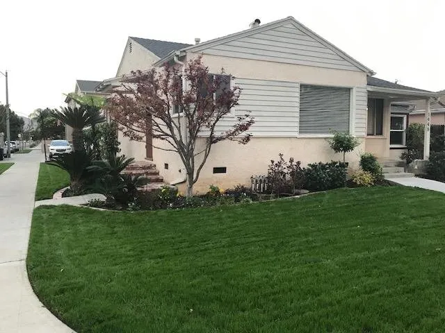 Expert yard cleanup service with custom design in Burbank, CA by Mike's Custom Lawn Service