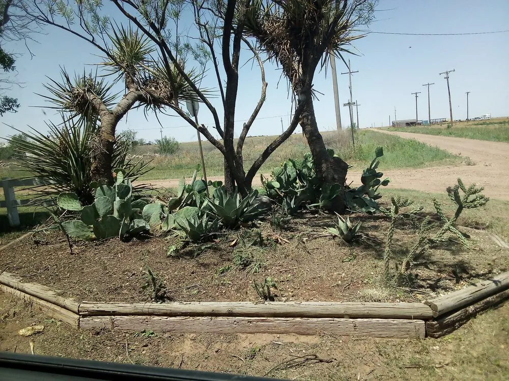 Professional landscaping services in Ralls, TX by Mike's Cutting Edge Lawn Care And Services