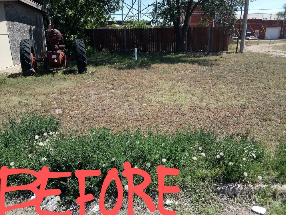 Affordable landscaping services in Ralls, TX by Mike's Cutting Edge Lawn Care And Services