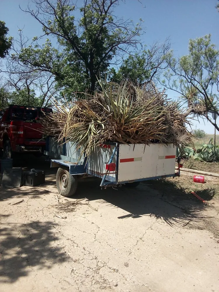 Top-rated lawn care service experts serving Ralls, TX - Mike's Cutting Edge Lawn Care And Services